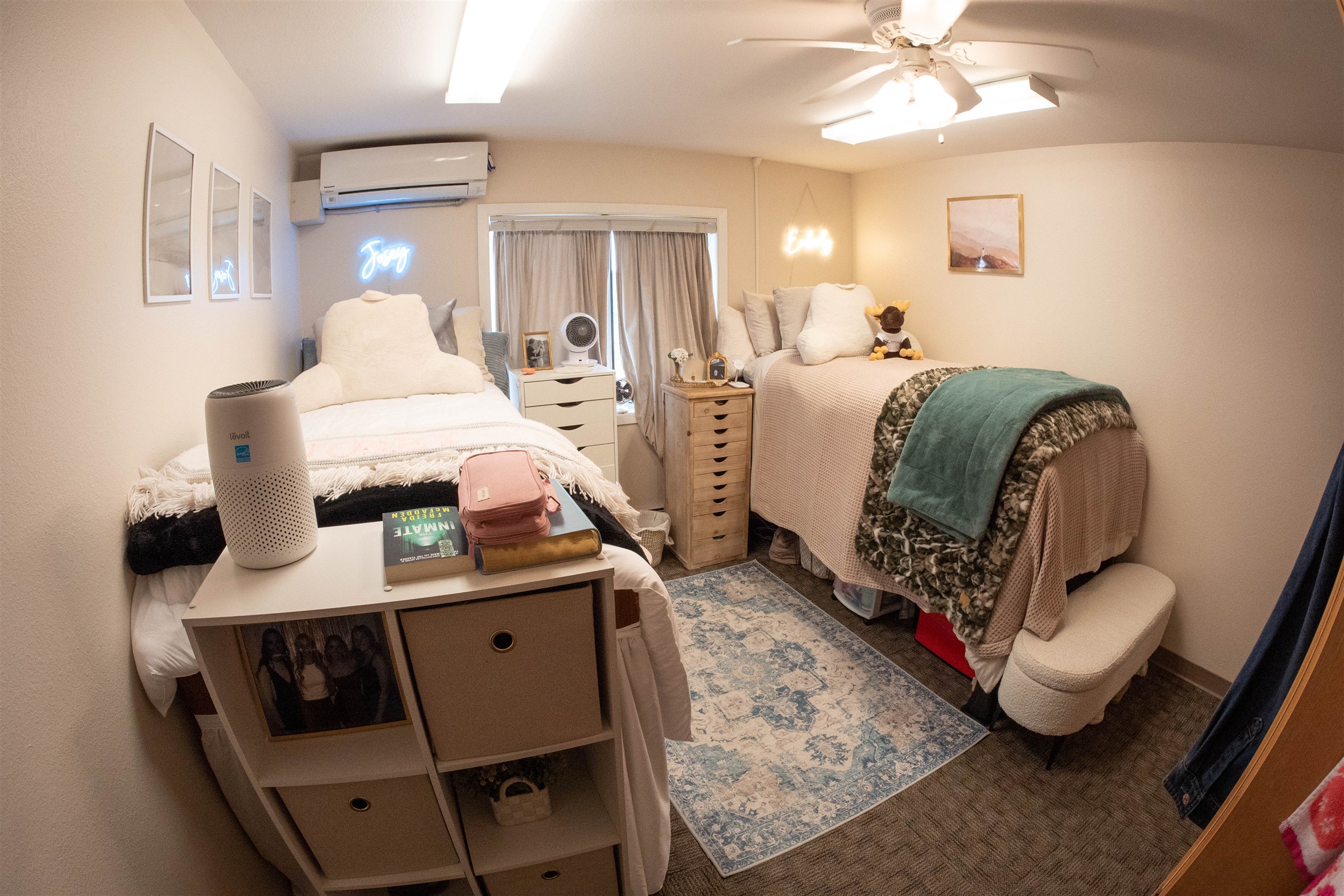 Interior of Mystic hall dorm room with lofted beds and decorative rug